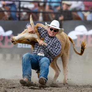 Rodeo Billings at MontanaFair