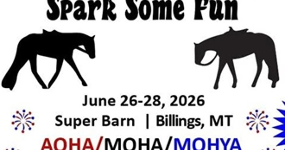 Spark Some Fun